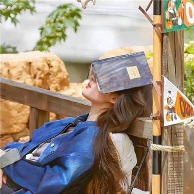 拉丁血与泪：巴西歌王的不羁星途